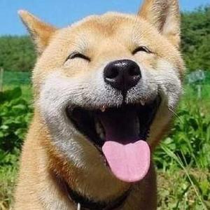 HD中国男女明星性视频大全ub
