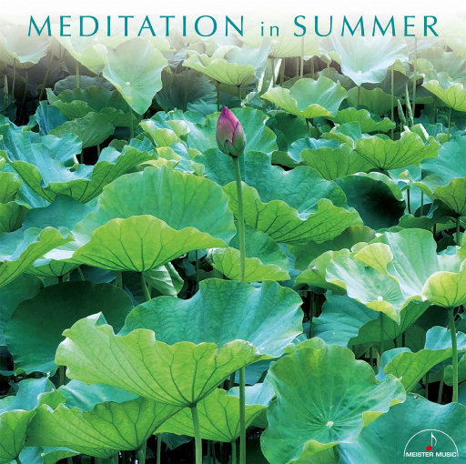 HD中国男女明星性视频大全ub
